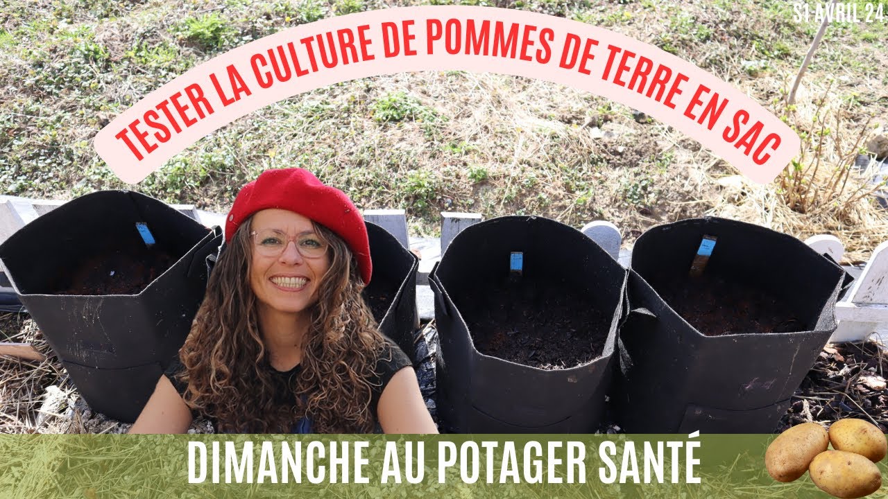 Cultiver des pommes de terre en sac  #potager #jardinage #garden #gardening
