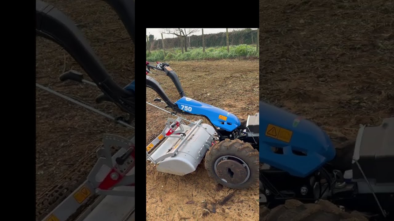 testiamo il motocoltivatore bcs 750 su aratura  