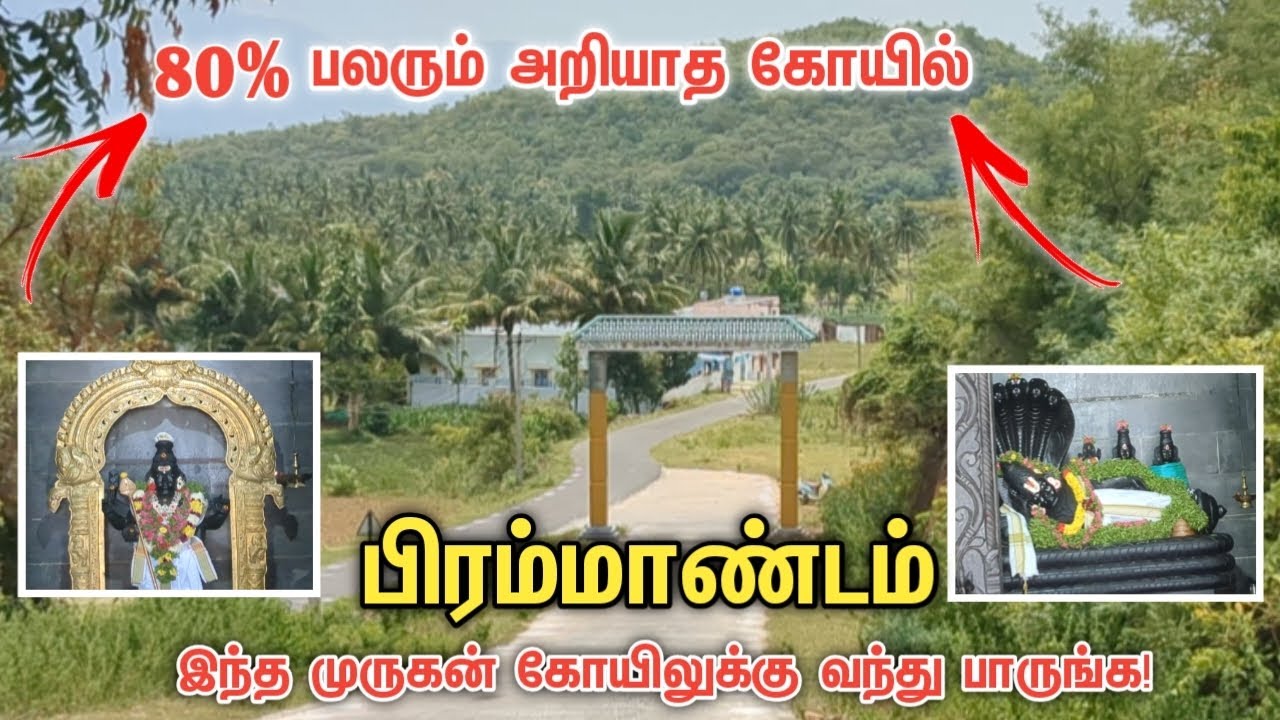🤩பிரம்மாண்டம்!😱 இந்த முருகன் கோயிலுக்கு வந்து பாருங்க!🙏