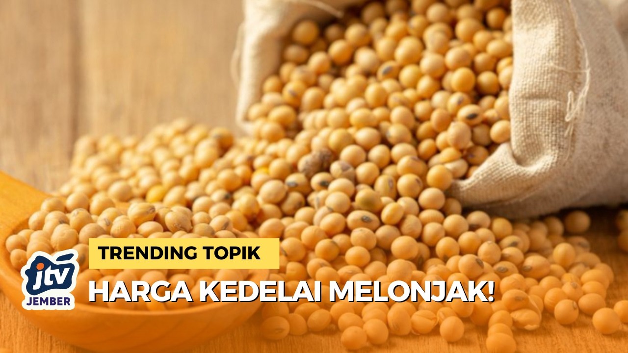 Perang AS-Iran Berimbas ke Jatim: Harga Tempe Tahu Terancam Naik & Ekspor Terganggu!