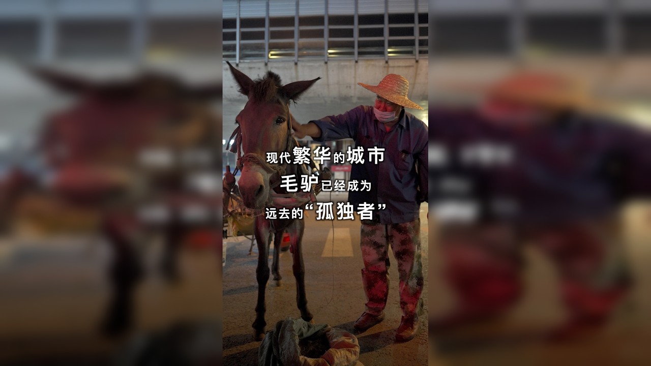 当你阅尽人间繁华，回归自然已然成为奢望。