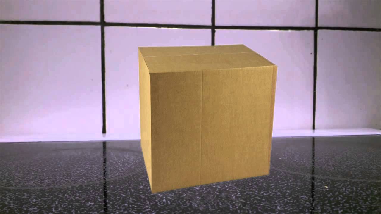 Schr&ouml;dinger's Waffle Falling Over