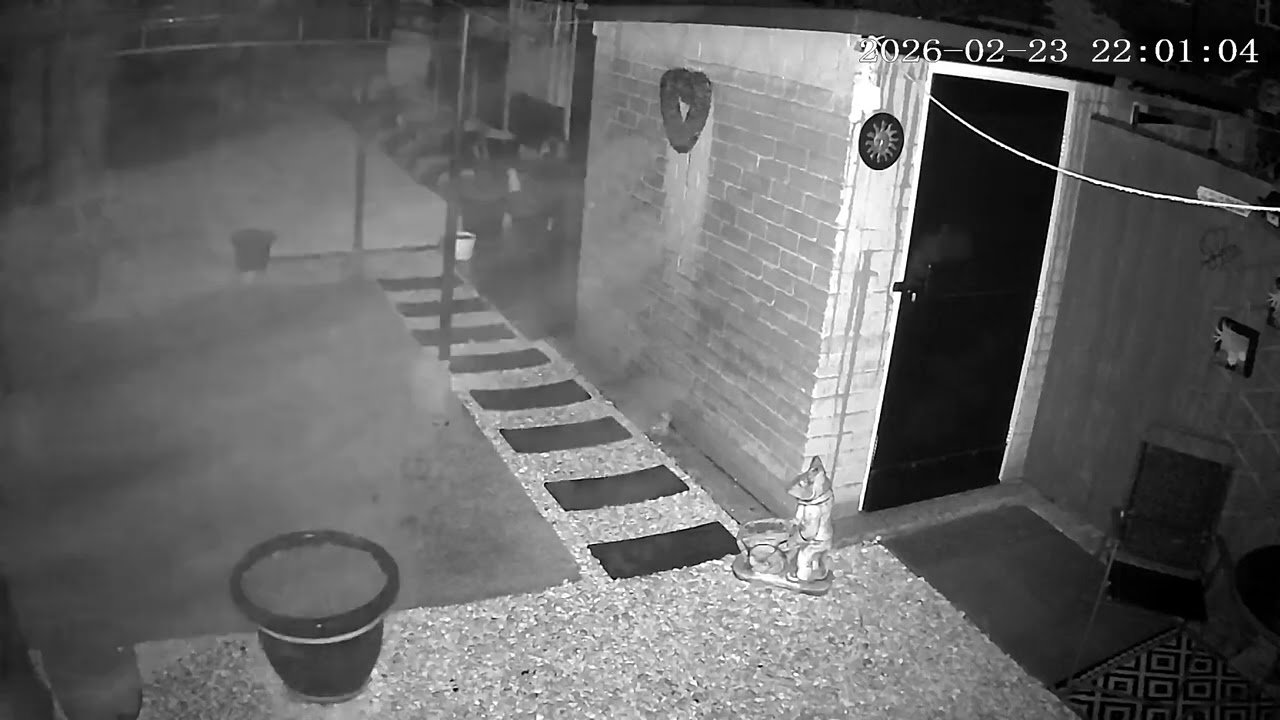 (23/2/2026) 21:59pm HULL (Uk) BYC [0551]