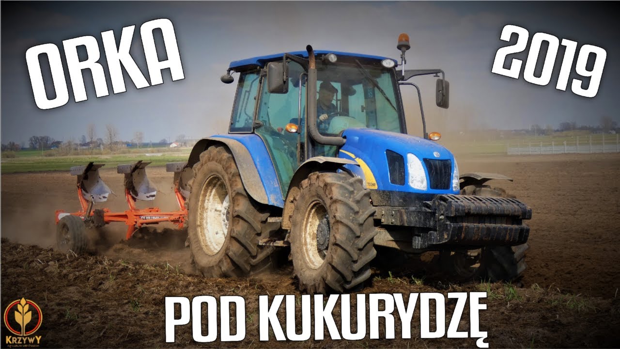 ORKA POD KUKURYDZĘ 2019 ☆ NH&KUHN ☆ KrzywY