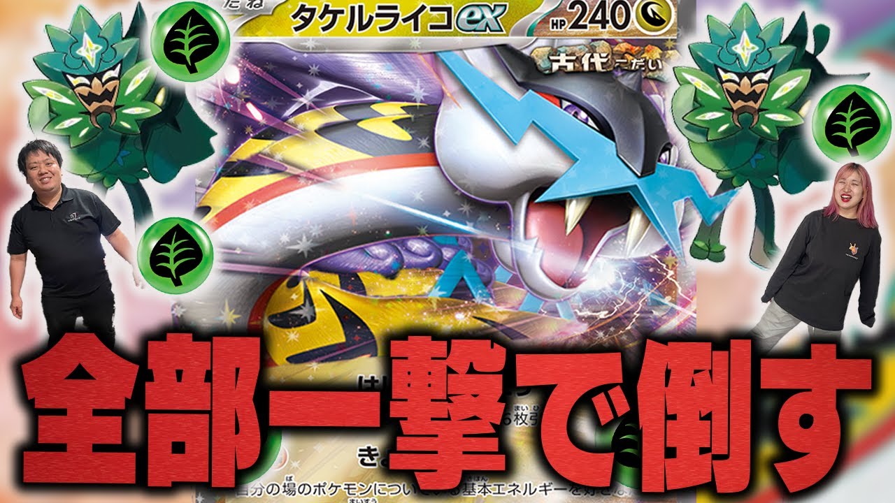【ポケカ】環境デッキ全て破壊する新デッキ『タケルライコex &オーガポンみどりのめんex』を元四天王が徹底解説！！