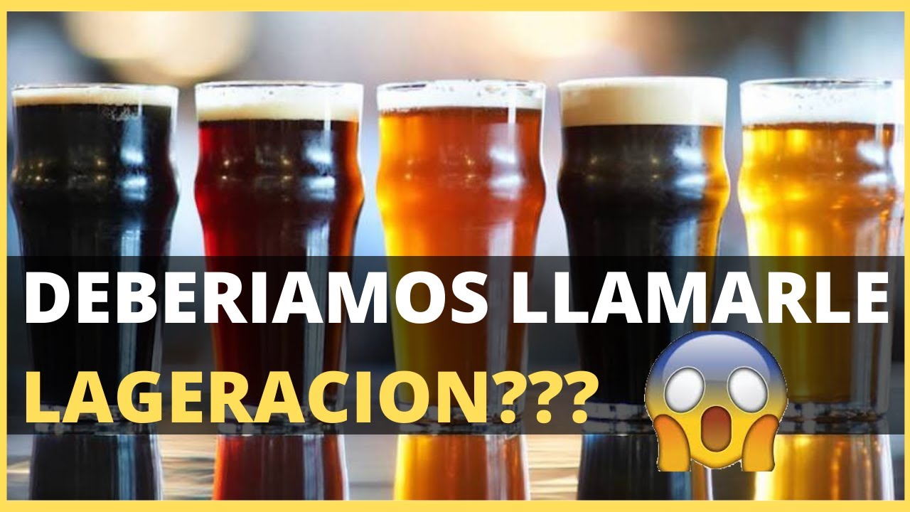 Guarda fria? o maduracion en frio? o clarificacion? o cold crash? o como DIABLOS SE DICE!🤬