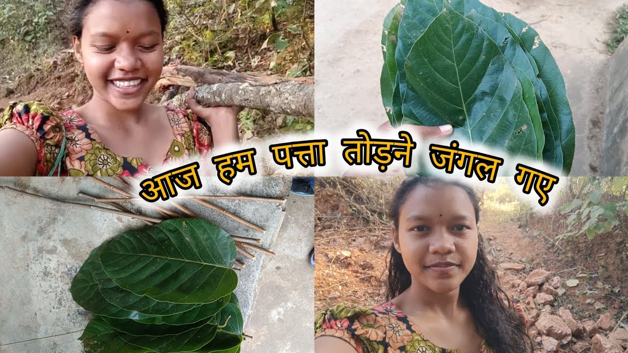आज हम पत्ता तोड़ने जंगल गए 😁#like #subscribe #villagelife #viralvideo #@MeriMiku 