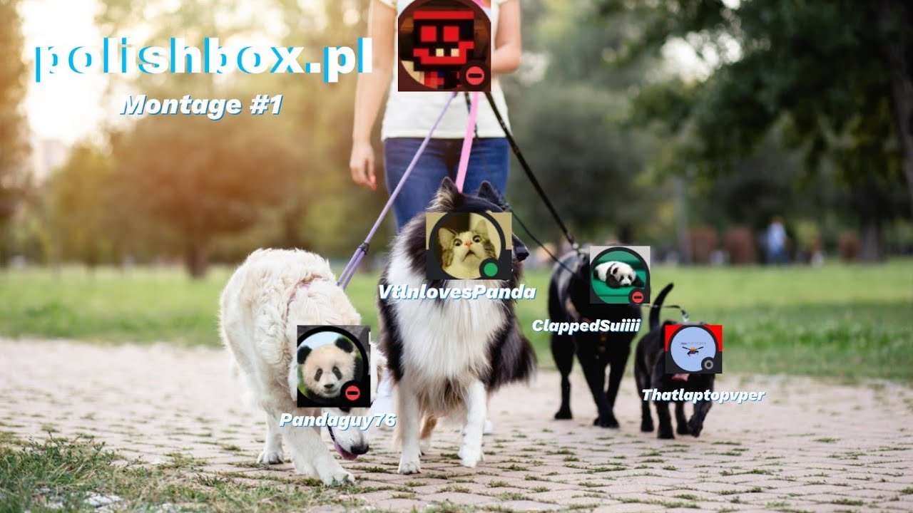 polishbox duotage #1 ip: Polishbox.pl #media