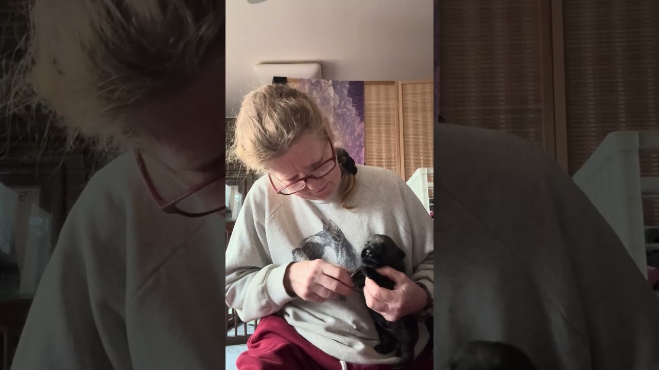 Puppy's First Toenail Trim -- 10 days old