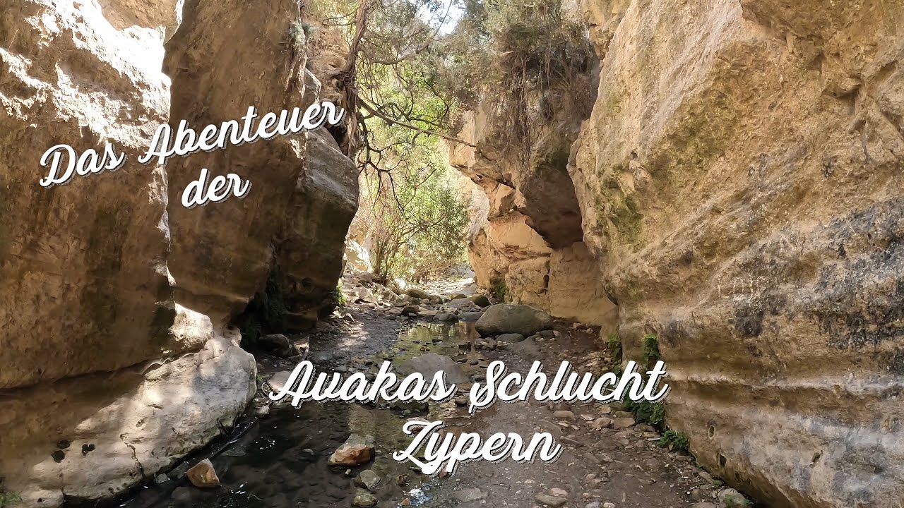 Avakas Schlucht Zypern 2022 VLOG 28