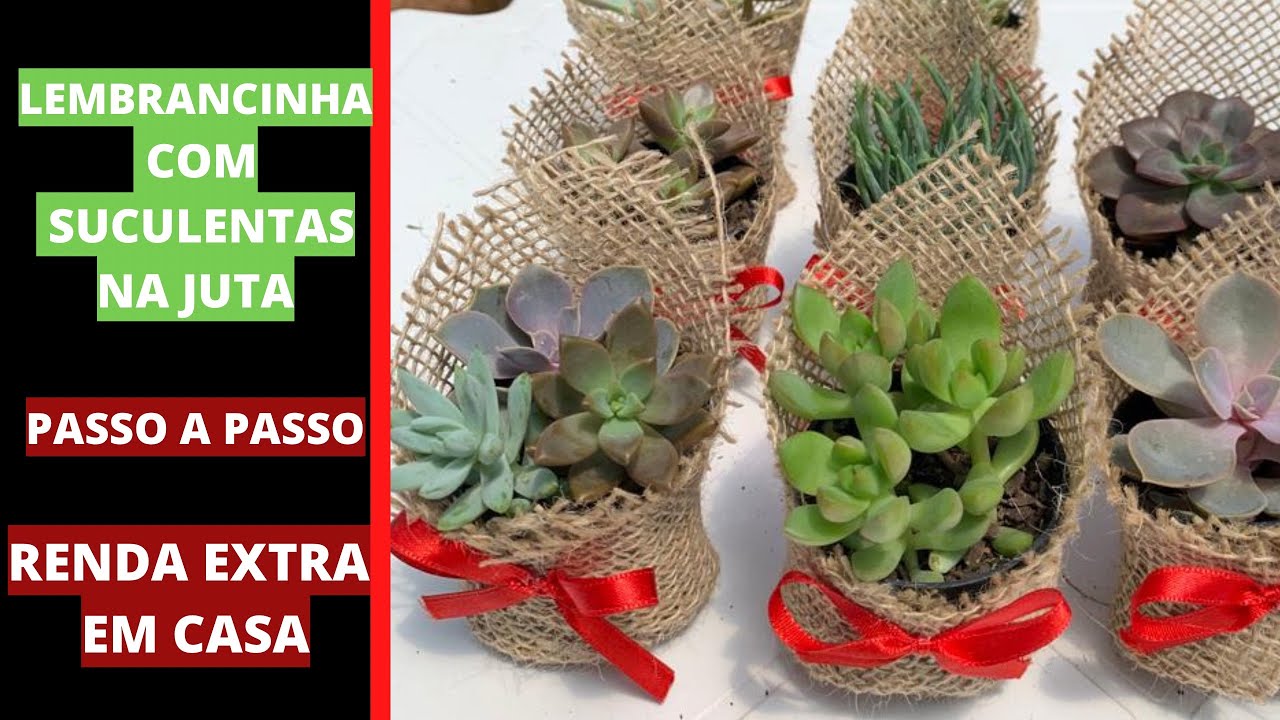 COMO FAZER LEMBRANCINHAS COM SUCULENTAS - RENDA EXTRA EM CASA