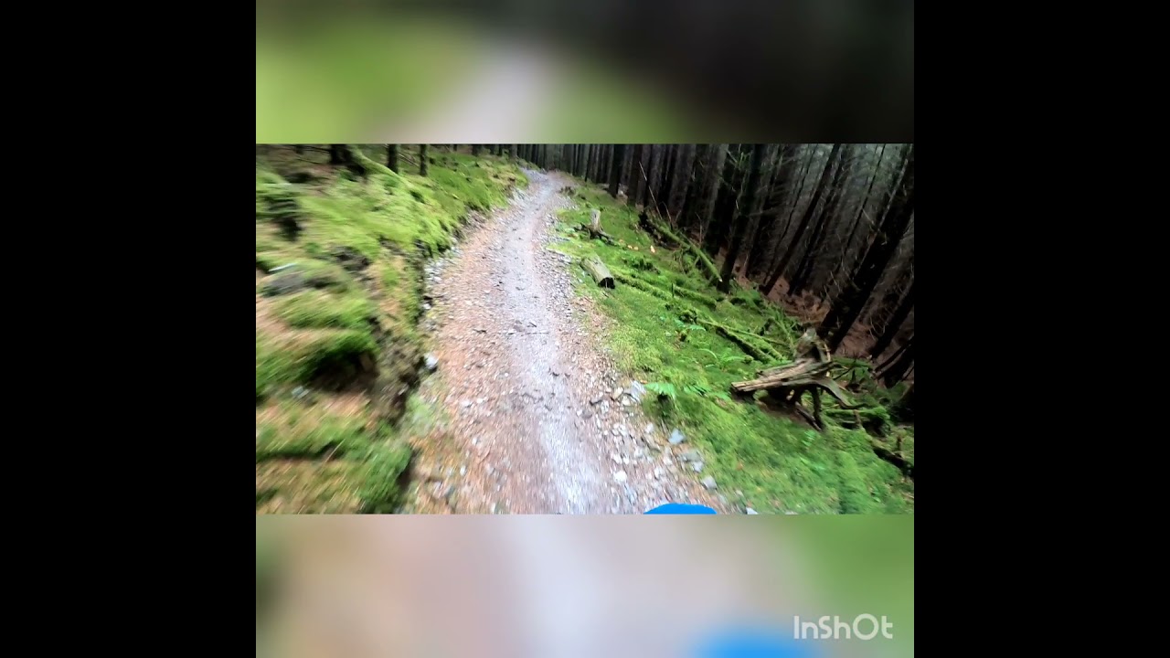 whinlatter north loop