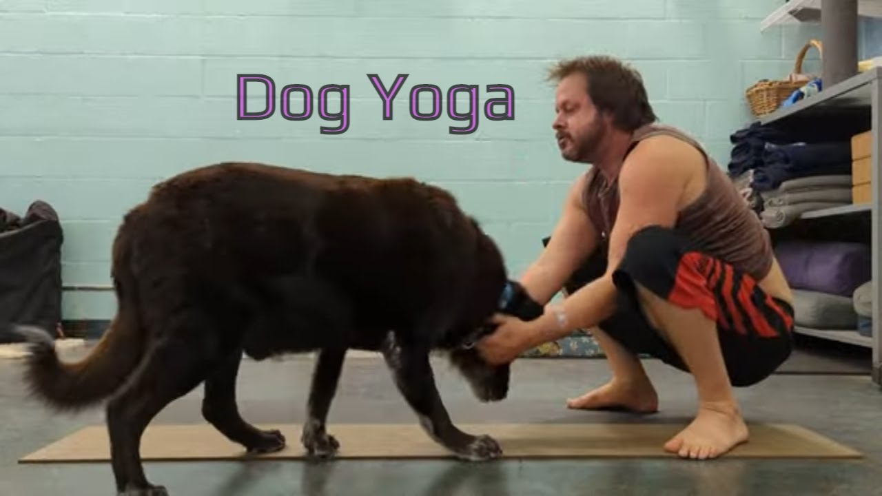 Paws & Pose: A Yoga Practice of man and his best friend
