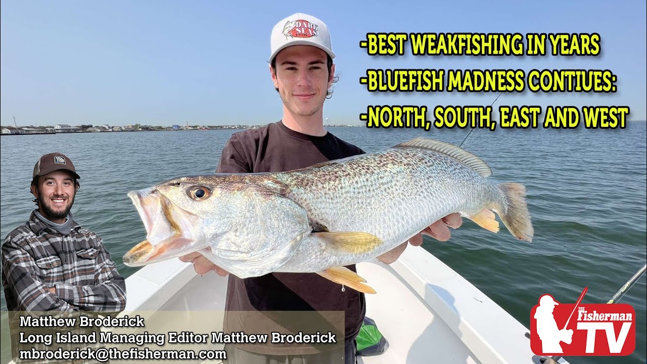 May 18, 2023 Long Island Metro Fishing Report with Matthew Broderick