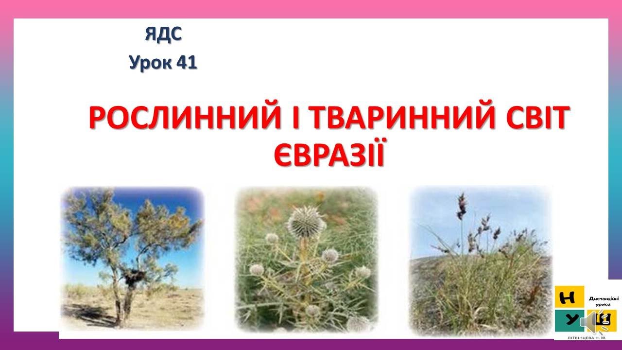 Урок 41 Рослинний і тваринний світ Євразії