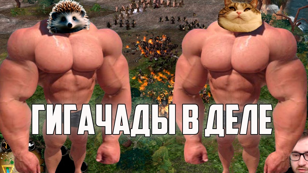 ПОКАЗЫВАЕМ ТИМПЛЕЙ МЕЧТЫ С ЕЖОМ. ВЛАСТЕЛИН КОЛЕЦ BFME 2 ROTWK ENNORATH MOD