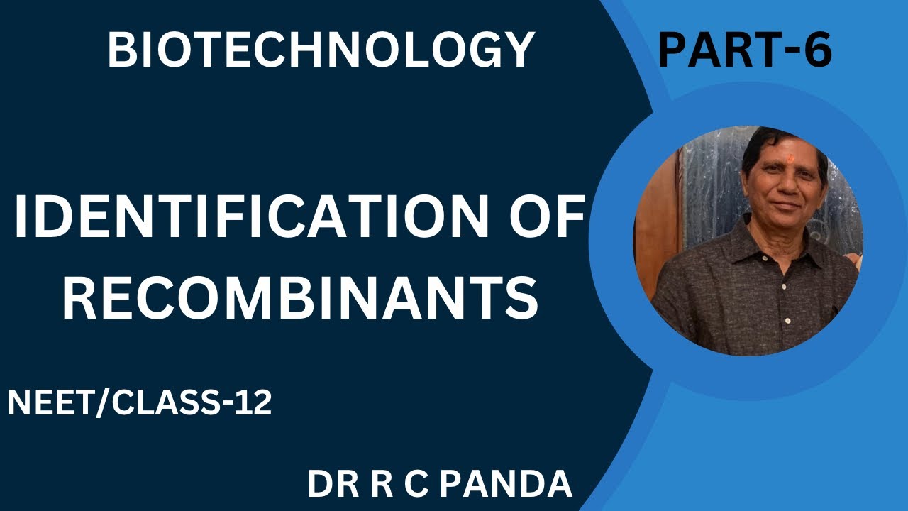 IDENTIFICATION OF RECOMBINANTS | BIOTECHNOLOGY, PART--6 | NEET | CLASS-12 | Dr Ramesh Panda