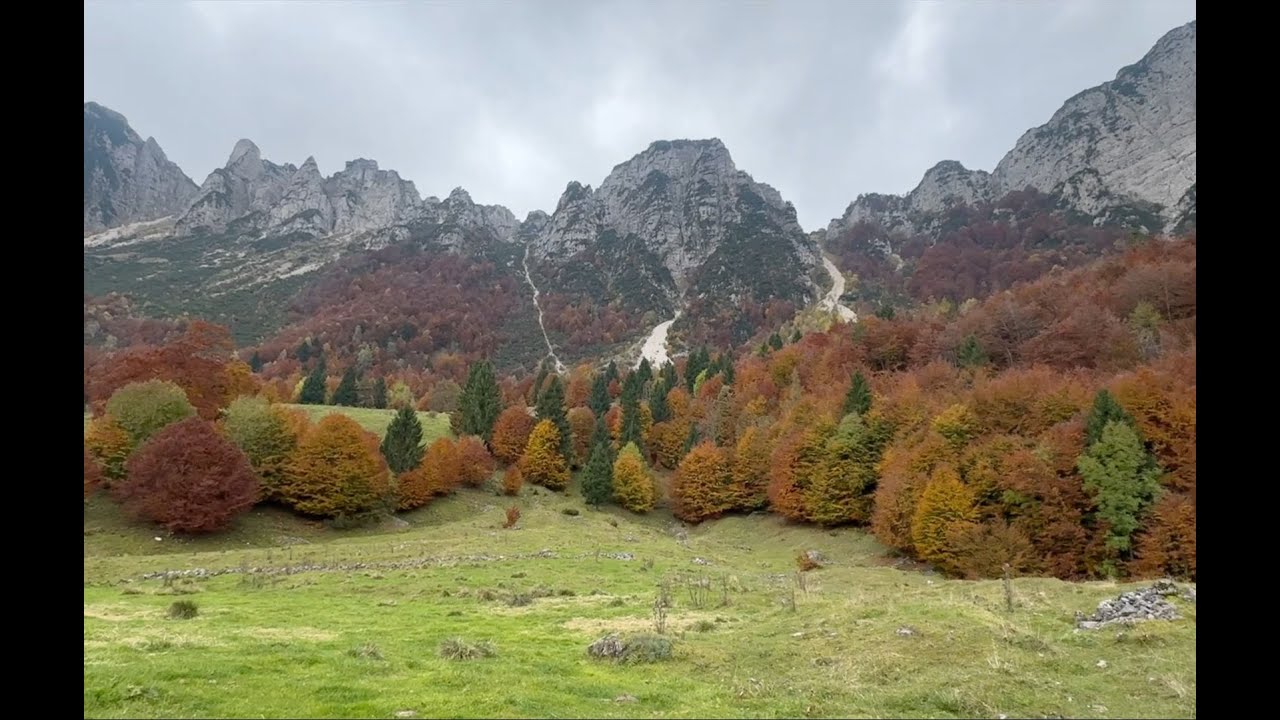 Sentiero dei Grandi Alberi