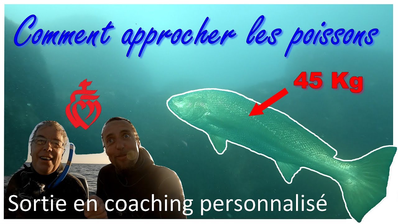 165🐟 Sortie coaching personnalisé Chasse sous-marine & apnée avec Claude et rencontre de MEGAFISH