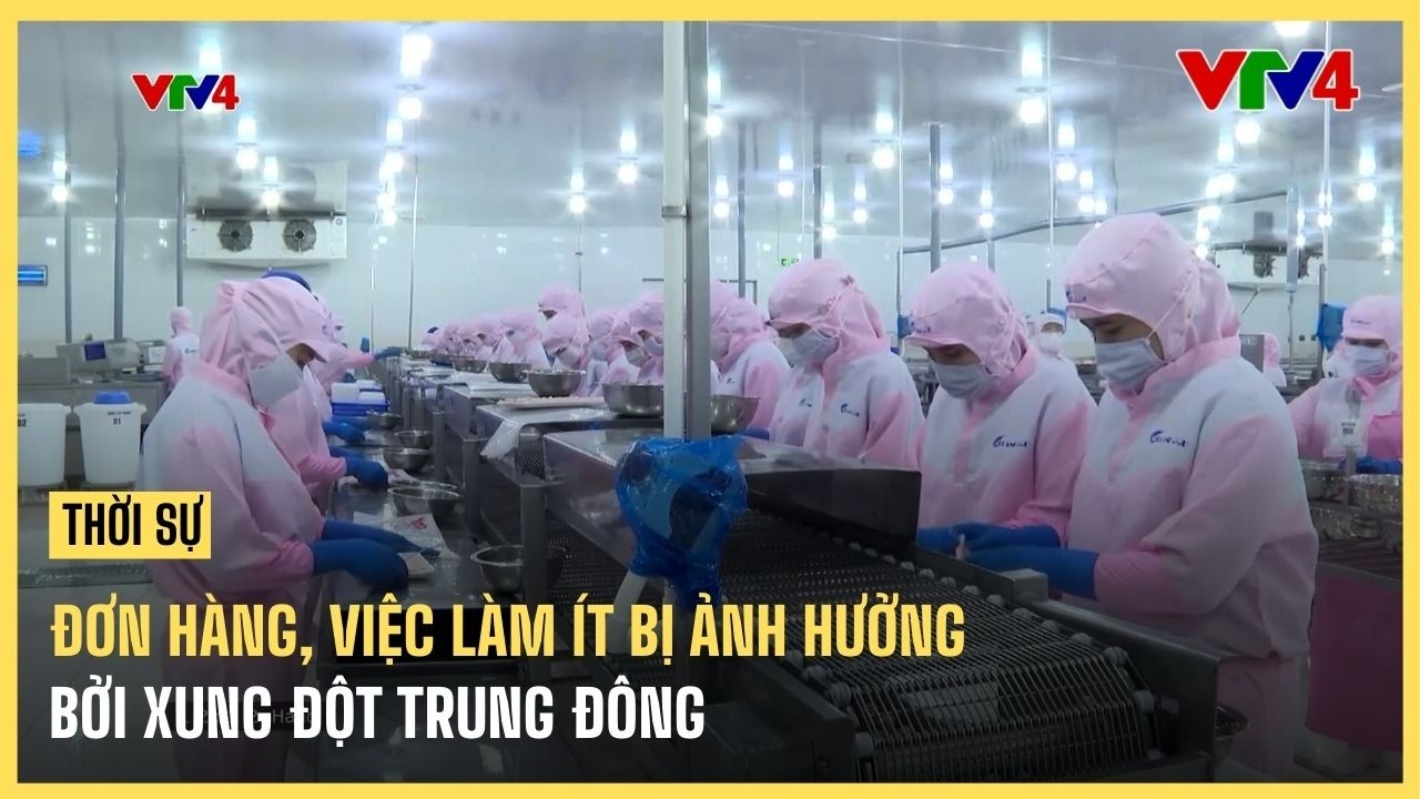 Đơn hàng, việc làm ít bị ảnh hưởng bởi xung đột Trung Đông | VTV4