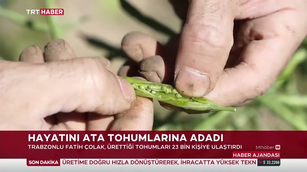 Ata tohumu ve sağlıklı tarım farkındalığımız