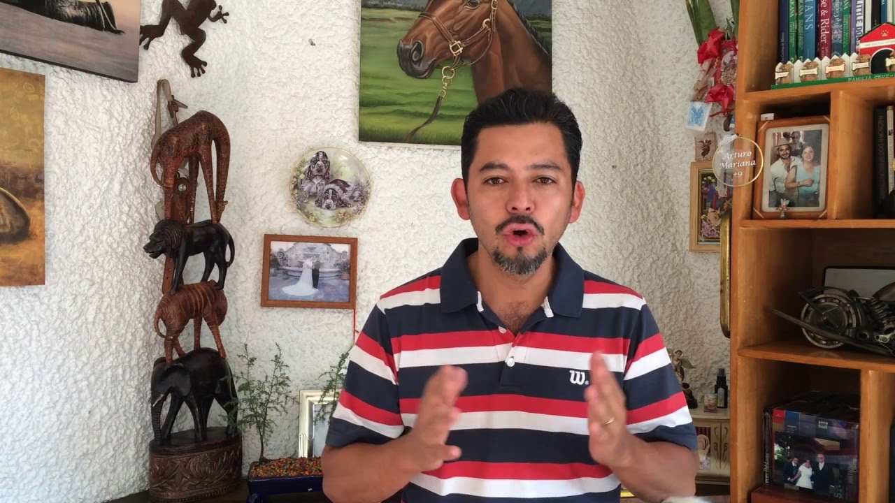 Transtorno Obsesivo Compulsivo en perros