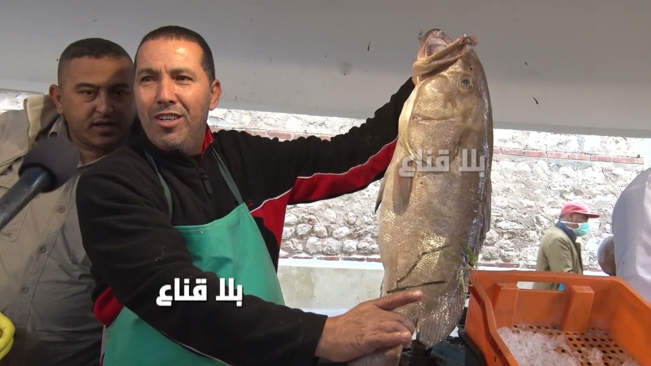 bila kinaa | الحوت بلاش في صفاقس..كثرت البحارة والحوت خيرات..مادام البلاد مفرهدة خلي الزوالي ياكل
