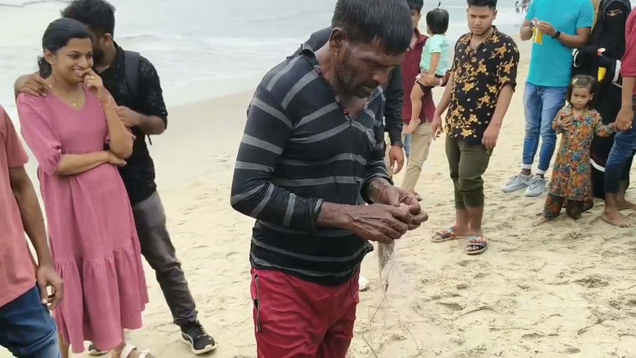 കോഴിക്കോട് കടപ്പുറത്തു വലവീശീയപ്പോൾ കിട്ടിയ മീനുകൾ 🐟