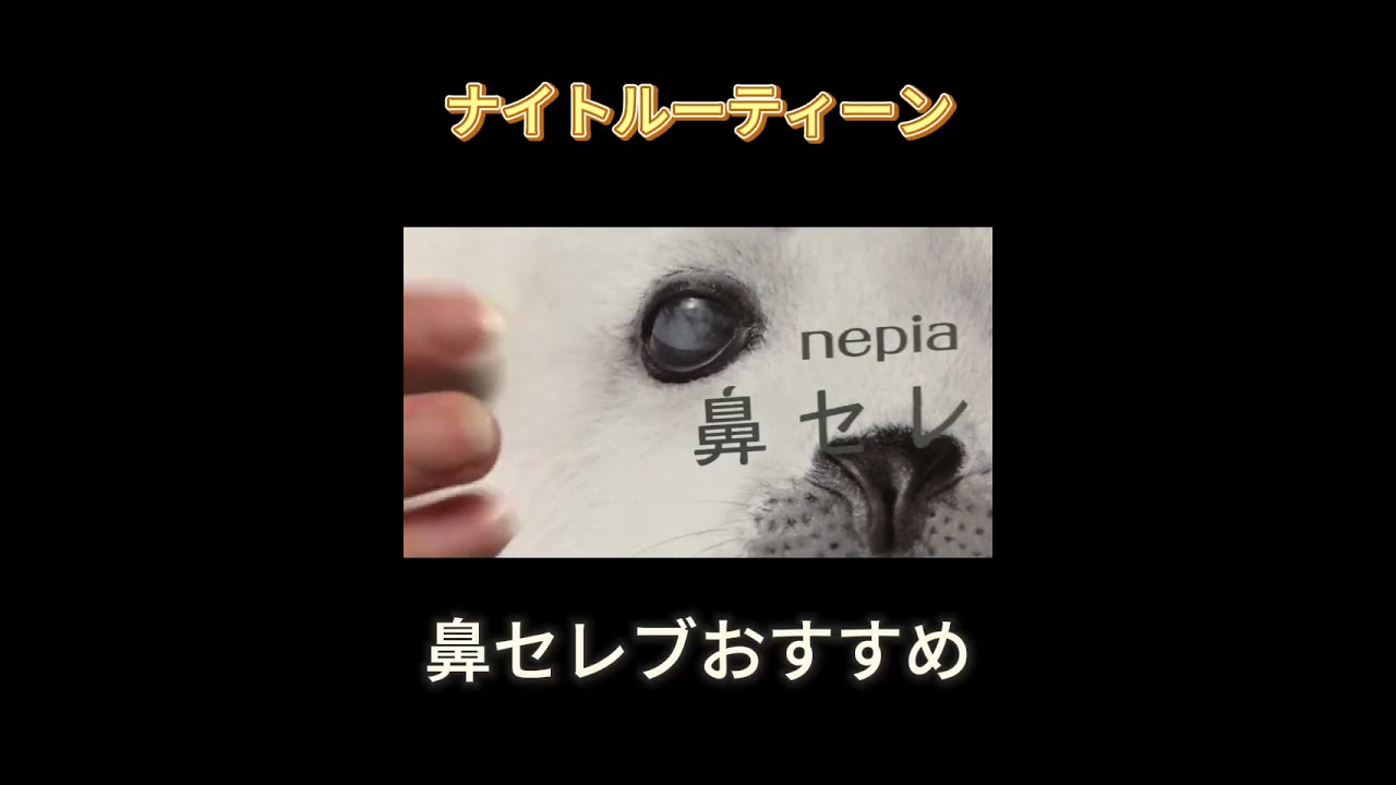 [ASMR] きどらないナイトルーティーン