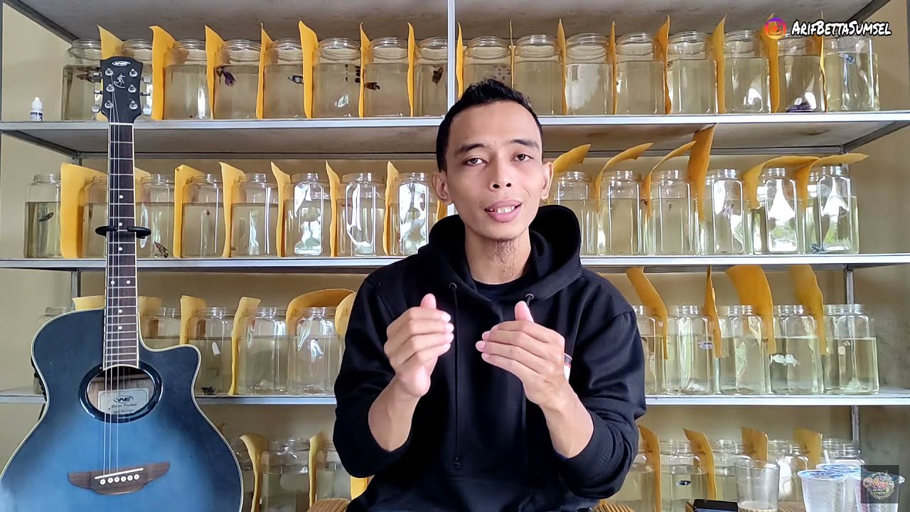 RAHASIA Cara Mendapatkan  Avatar Gold Langka