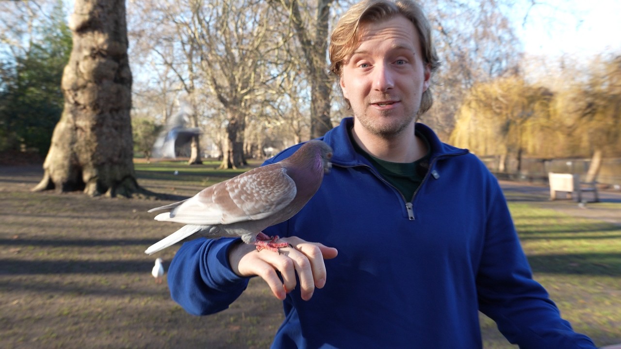 I Visited London’s Best Wild Park!