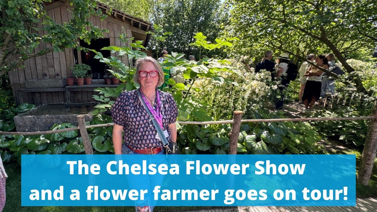 Ну вот и мой рассказ о поездке на выставку цветов @The_RHS Chelsea Flower Show и о том, как весел...
