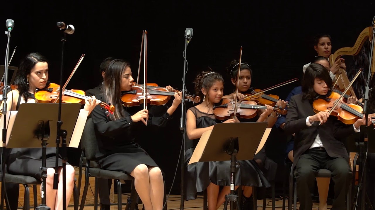 Tierra Mestiza - G.Tamez - OFIEL