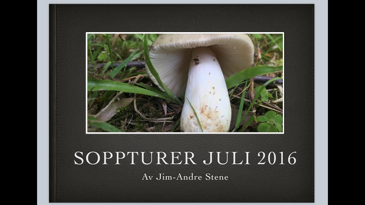 =4= Soppturer Juli 2016 - Gr&oslash;nnkremle
