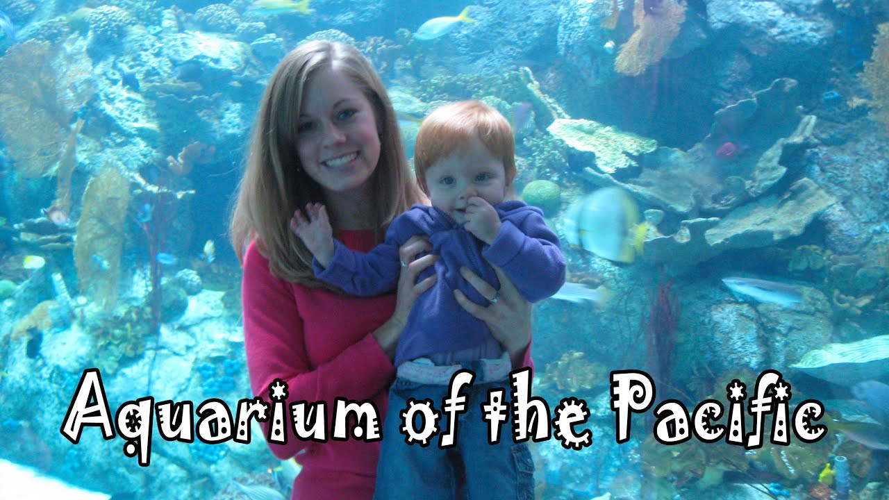 California Memories 2010 Part 2: Aquarium of the Pacific [Old Cameras = Low Resolution]