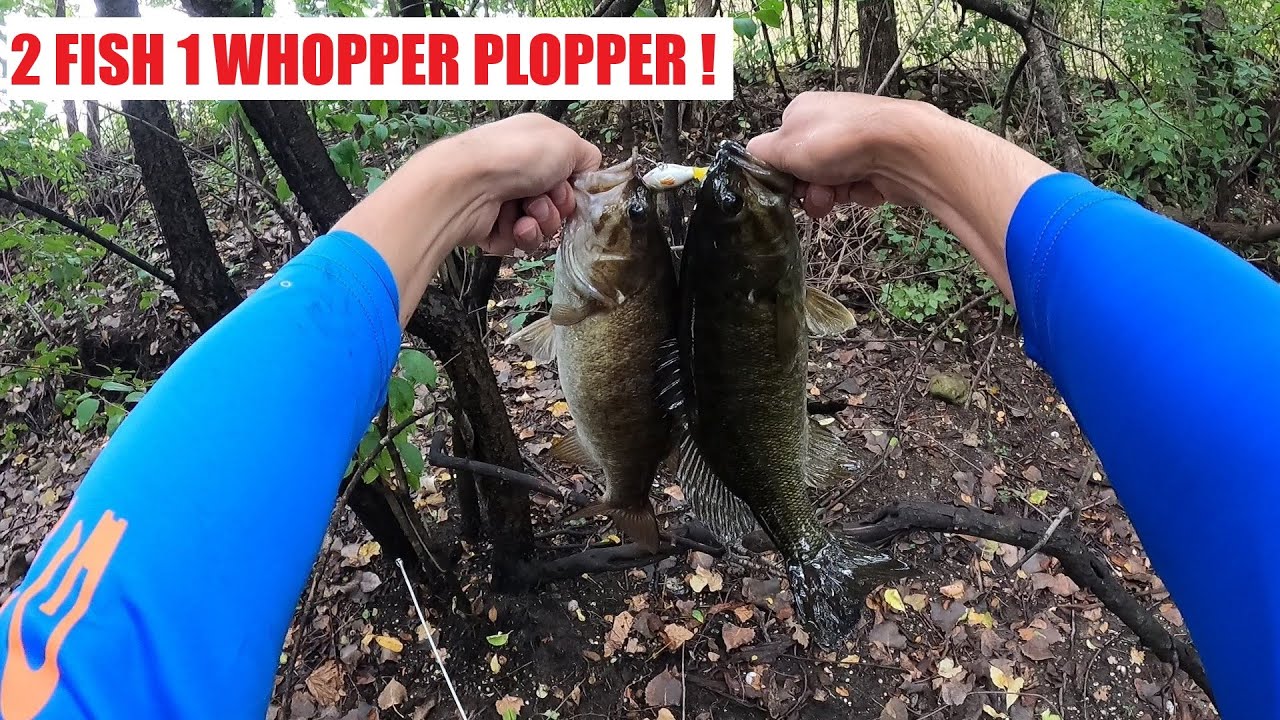 Whopper Plopper Creek Bass Fishing - How To Catch Smallmouth Bass
