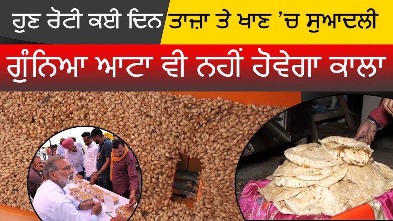 ਹੁਣ ਇੱਕ ਵਾਰ ਬਣਾਈ ਰੋਟੀ ਕਈ ਦਿਨ ਰਹੂ ਨਰਮ ਤੇ ਤਾਜ਼ਾ | Punjab Agricultural University Ludhiana | Khalas Tv
