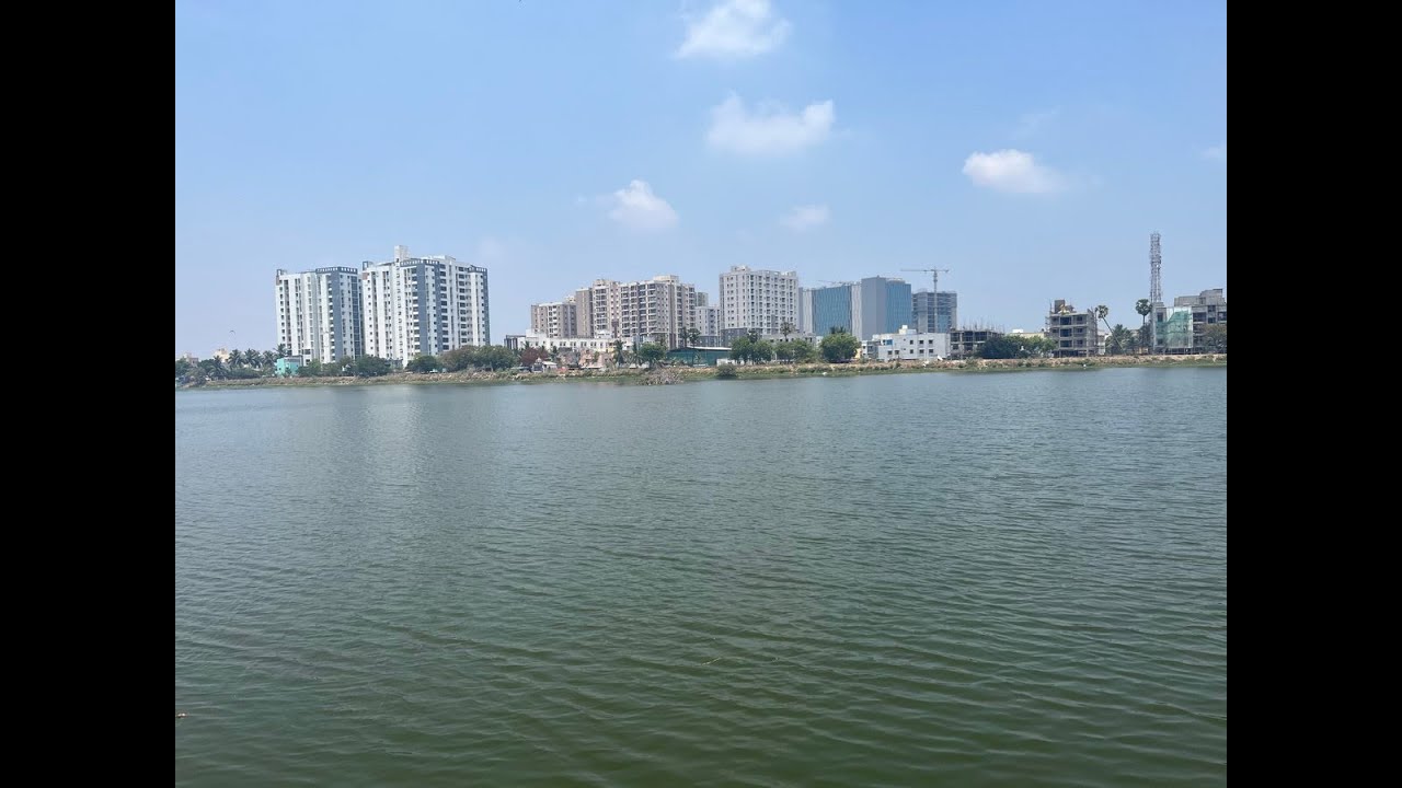 Narayanapuram lake  / நாராயணபுரம் ஏரி