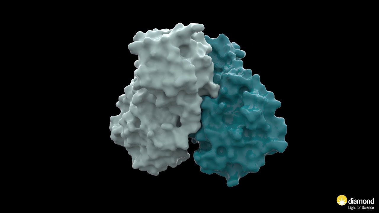 SARS-CoV-2 virus - main protease (Mpro) Single Crystal Crystallography