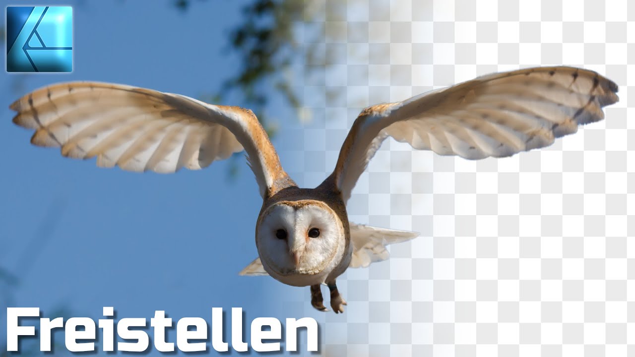 Freistellen / Ausschneiden | Affinity Designer Tutorial Deutsch