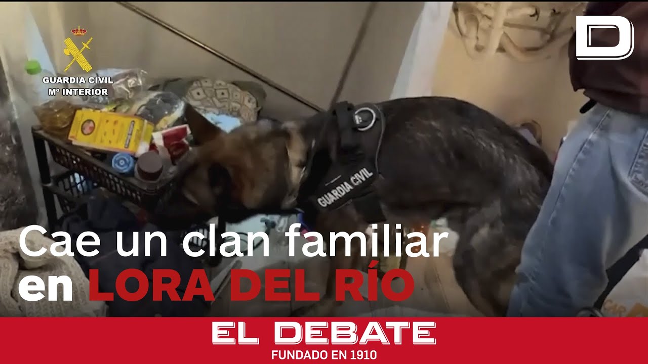 La Guardia Civil desarticula un clan familiar en Sevilla que vendía drogas en siete viviendas