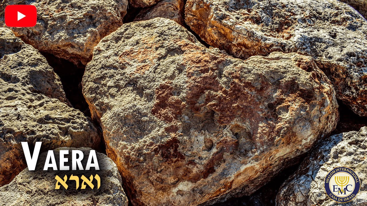 📜 Curiosidades de la parashah - VAERA #14