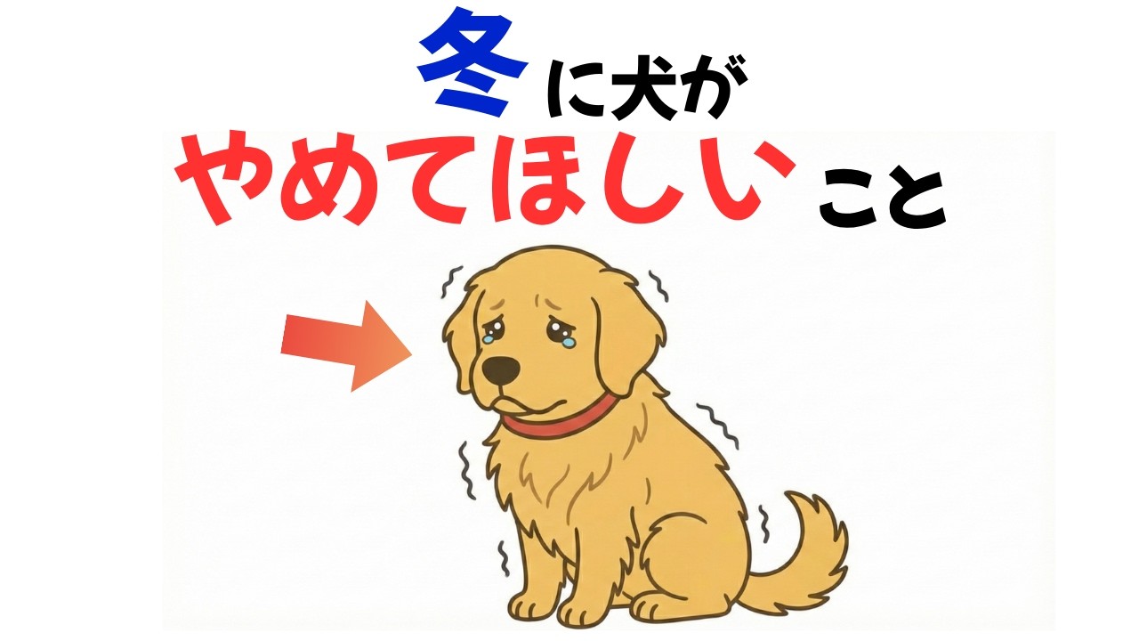 【絶対ヤメて！】冬の寒い季節に、犬が本当にやめて欲しい危険な行動９選【犬の気持ち】【犬の雑学】