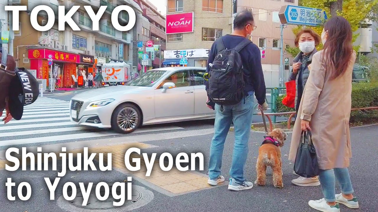 [Tokyo Walk] Shinjuku Gyoen to Yoyogi. Through the back streets (Nov.2021)