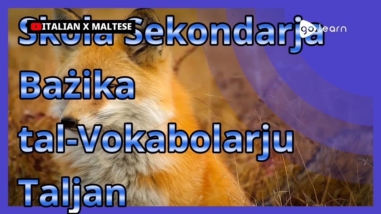 Skola Sekondarja Bażika tal-Vokabolarju Taljan | Golearn