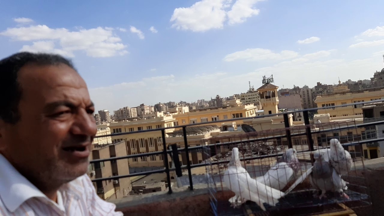 نـاصــــــر عـــــابديـن وعشقـــــه للصــــــافي الجـــــــزء الثــــاني
