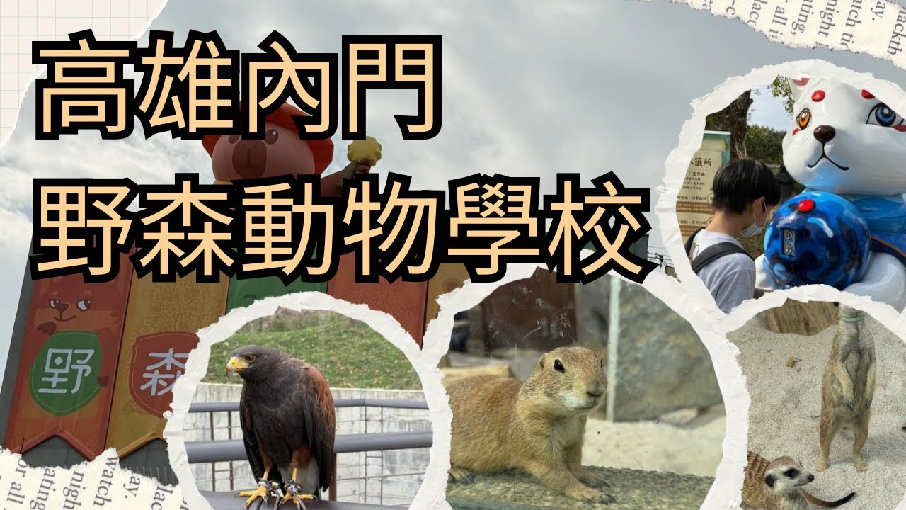 【高雄新景點】好玩又有趣的高雄內門野森動物學校，開學啦！近距離沉浸式體驗與20種動物互動#親子景點#kaohsiung#zoo#capybara#fox#預約制