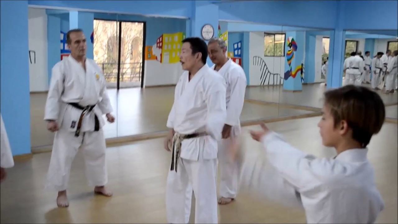 J.K.S  GREECE  2018   SHIHAN  YUTAKA KATSUMATA  seminar in RHODES