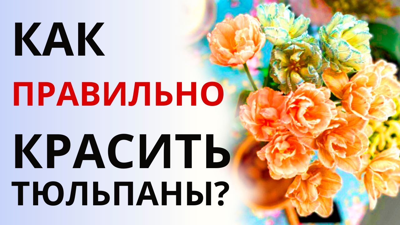Как ПРАВИЛЬНО красить тюльпаны? Как покрасить живые цветы. Обучение флористике.