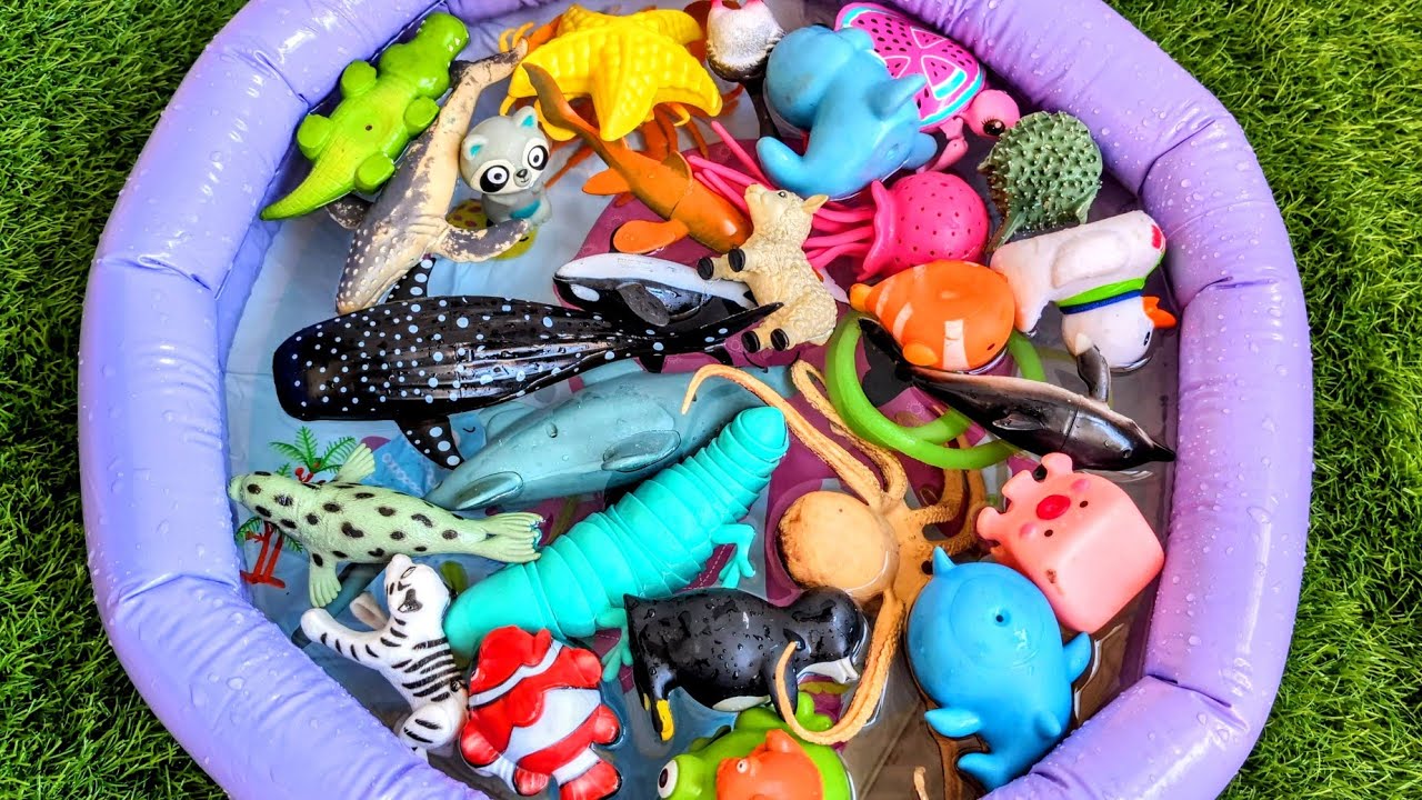 Sea Animals for Preschoolers | Play, Learn & Discover Ocean Animals for Kids